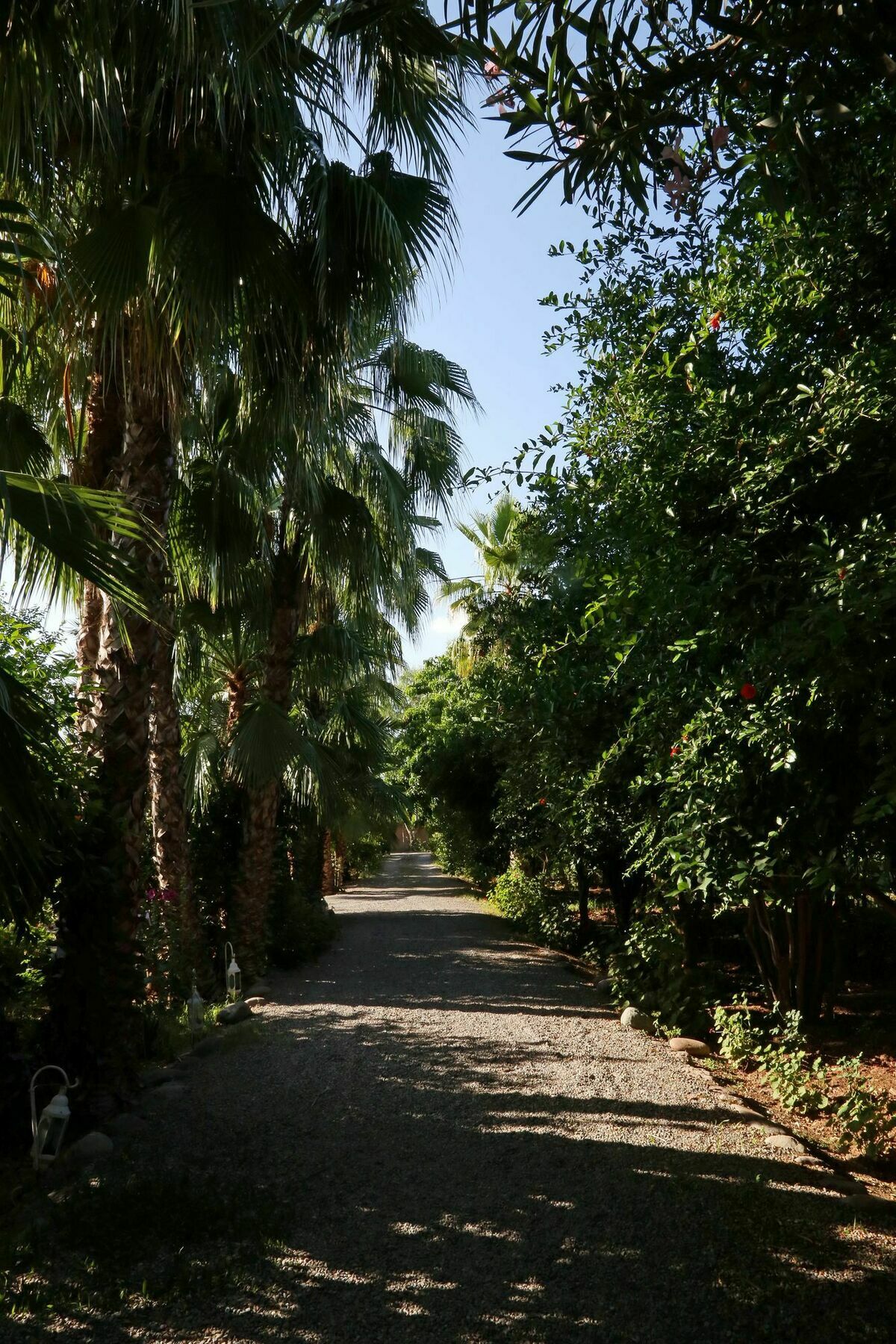 Bed and Breakfast Le Bled Ferme Lahebichate Экстерьер фото